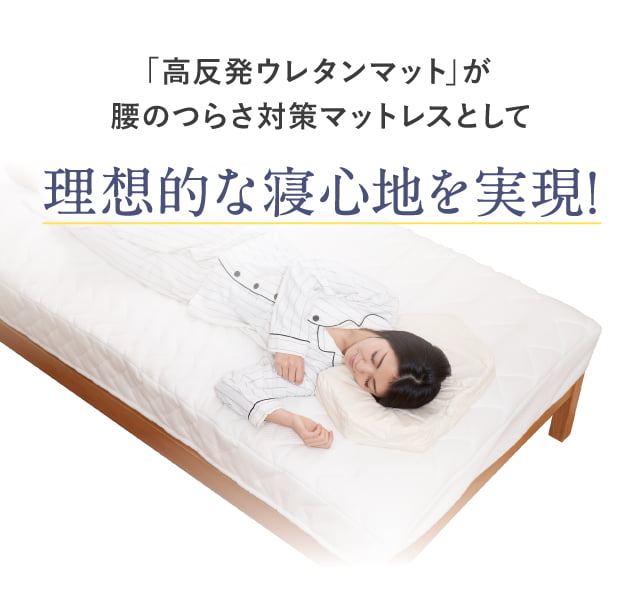 アウトレット買付 - 【しーたん様専用】雲のやすらぎプレミアム